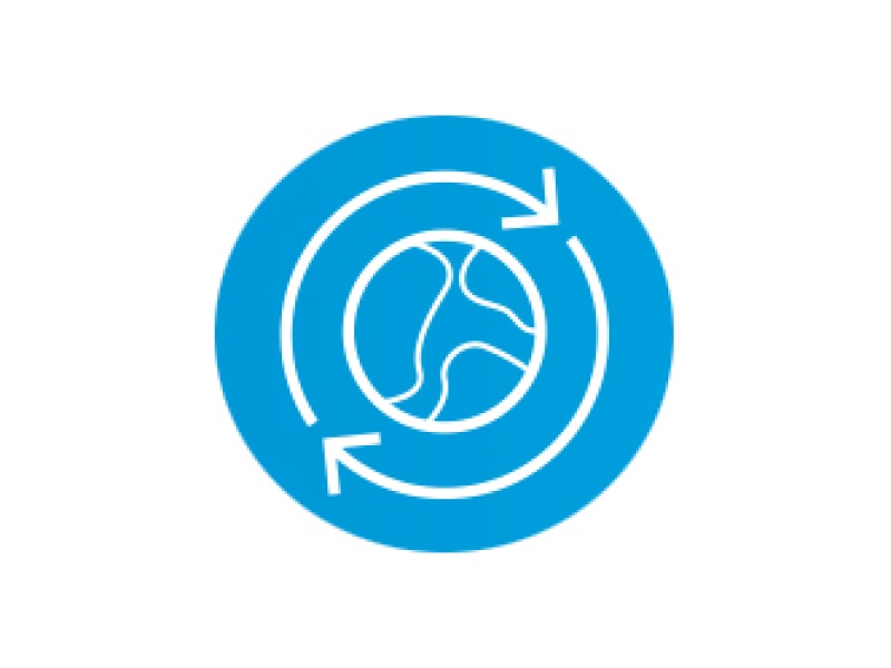 The Hybrid Advantage