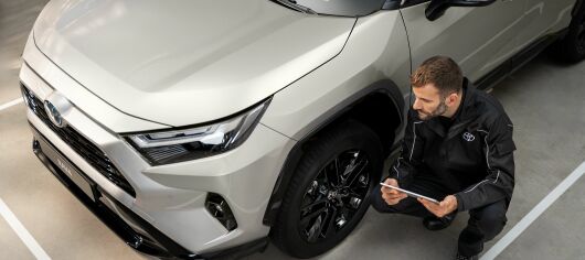 TOY_RELAX_GRANDONS_TOYOTA.jpg