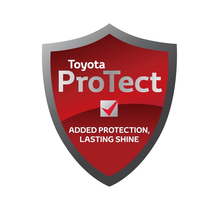 protect logo